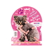 Dezzie Комплект для котят, шлейка, ширина 8 мм, объем 23-43 см, поводок, ширина 8 мм, длина 1,2 м, розовый – интернет-магазин Ле’Муррр