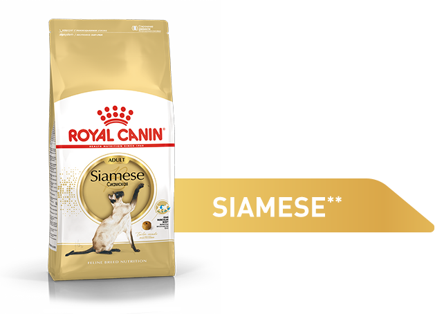 Роял Канин бенгал. Royal Canin Siamese.