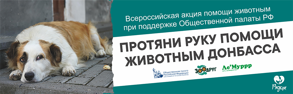 Совместный сбор кормов и ветеринарных препаратов с Общественной палатой РФ для зоопарков и приютов Донбасса и Украины в рамках всероссийской кампании «ЗооДруг»