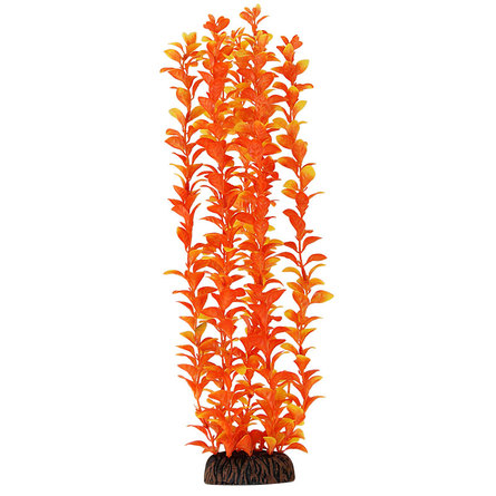 Laguna Растение оранжевое  Людвигия - фото 1