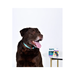 АВЗ Барс капли инсектоакарицидные для собак от 40 до 60 кг 1 пипетка/4,02 мл – интернет-магазин Ле’Муррр