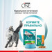 Сухой корм Purina ONE® для взрослых кошек, живущих в домашних условиях, с высоким содержанием индейки и цельными злаками, Пакет – интернет-магазин Ле’Муррр