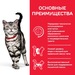 Hill's Science Plan Hairball Indoor Корм для домашних кошек для выведения шерсти из желудка – интернет-магазин Ле’Муррр