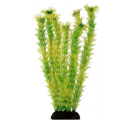 Laguna Растение зелёное Амбулия, 29 см – интернет-магазин Ле’Муррр