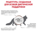 Royal Canin Gastrointestinal Hairball сухой корм для кошек для выведения волос – интернет-магазин Ле’Муррр