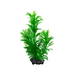Tetra Растение аквариумное Green Cabomba (S) с утяжелителем – интернет-магазин Ле’Муррр
