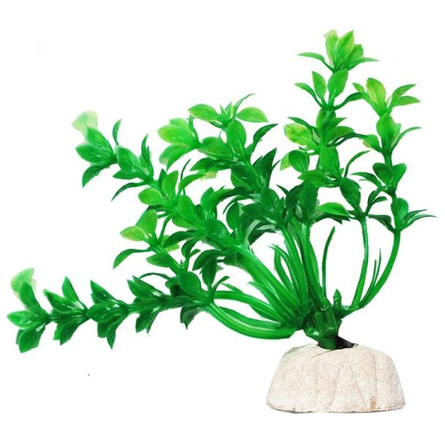 УЮТ Растение аквариумное Гемиантус зеленый