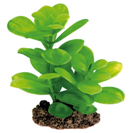 DEZZIE Искусственное растение, пластик, 13 см – интернет-магазин Ле’Муррр