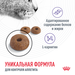 Royal Canin Appetite Control Care Сухой корм для взрослых кошек для поддержания оптимального веса – интернет-магазин Ле’Муррр