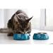 Сухой корм Purina ONE® для взрослых кошек, живущих в домашних условиях, с высоким содержанием индейки и цельными злаками, Пакет – интернет-магазин Ле’Муррр