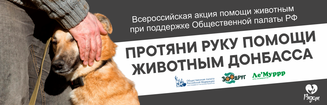 Совместный сбор кормов и ветеринарных препаратов с Общественной палатой РФ для зоопарков и приютов Донбасса и Украины в рамках всероссийской кампании «ЗооДруг»