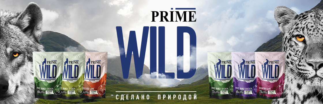НОВИНКА Prime Wild!