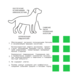 AJO Dog Hypoallergenic Сухой корм с гречкой для взрослых собак средних и крупных пород, склонных к аллергиям – интернет-магазин Ле’Муррр