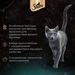 Влажный корм для кошек SHEBA® CRAFT COLLECTION «Сочные слайсы. Курица в соусе» – интернет-магазин Ле’Муррр