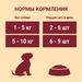 Влажный корм Purina ONE Мини Активная для взрослых собак мелких пород с активным образом жизни, с уткой, пастой и зеленой фасолью в подливе 85 г – интернет-магазин Ле’Муррр