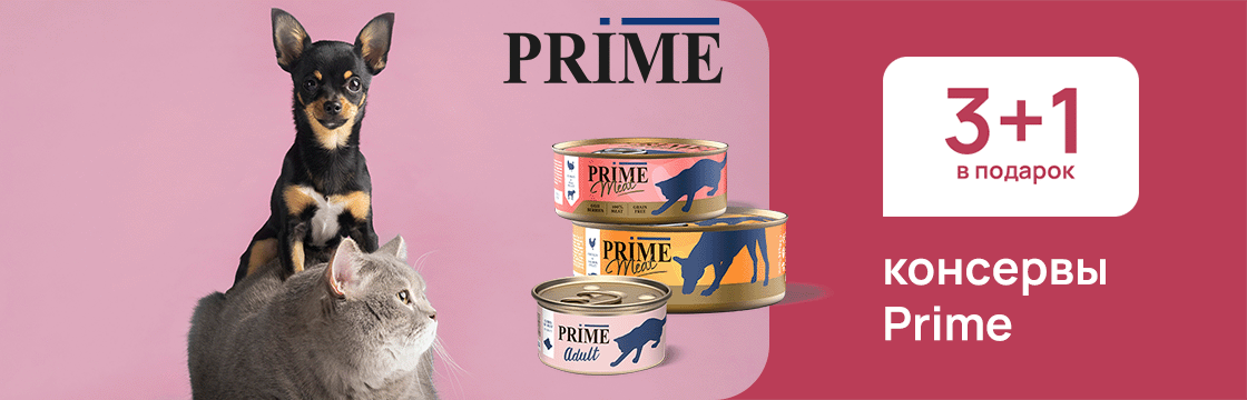 Купите 4 упаковки корма Prime по цене 3