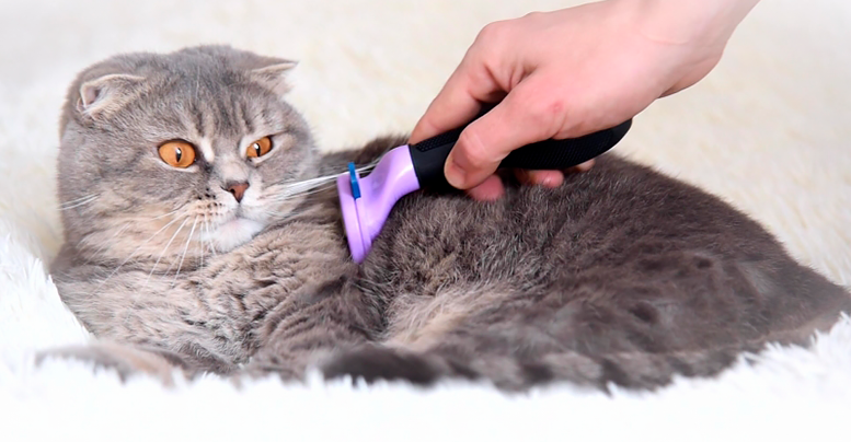 фурминатор для кошек как пользоваться