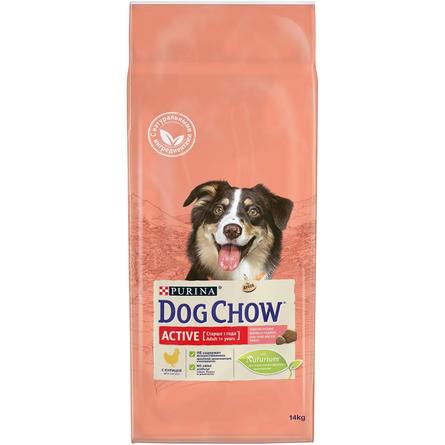 Dog Chow Active Сухой корм для активных взрослых собак всех пород (с курицей), 14 кг - фото 1