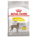 Royal Canin Maxi Dermacomfort Сухой корм для взрослых собак крупных пород для чувствительной кожи и шерсти – интернет-магазин Ле’Муррр