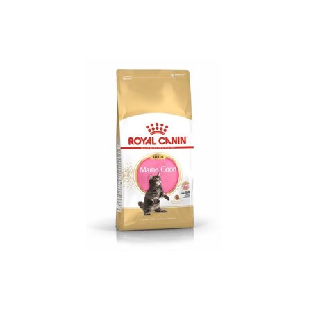 Royal Canin Maine Coon Kitten Корм сухой полнорационный сбалансированный для кошек, Специально для котят породы Мэйн Кун – интернет-магазин Ле’Муррр