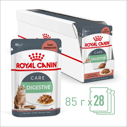 Royal Canin Digest Sensitive Кусочки паштета в соусе для взрослых кошек с чувствительным пищеварением, 85 гр - фото 1