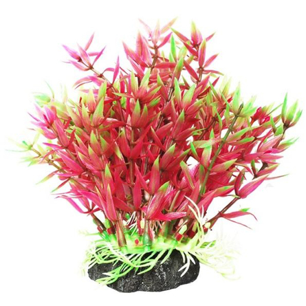 УЮТ Растение аквариумное Гемиантус фиолетово-зеленый, 12 см