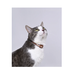 АВЗ Барс ошейник инсектоакарицидный от блох и клещей для кошек, 35 см – интернет-магазин Ле’Муррр