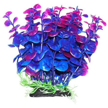 УЮТ Растение аквариумное Бакопа сине-фиолетов...