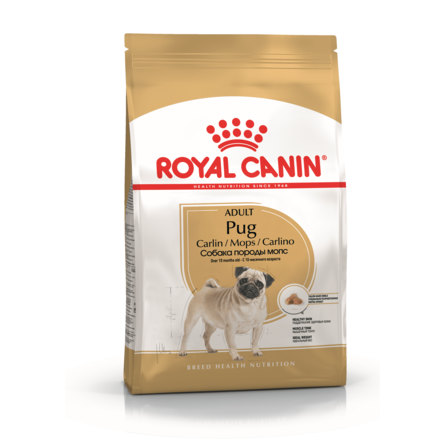 Купить Royal Canin Adult Pug Сухой корм для взрослых собак породы Мопс, 500 гр за 396.00 ₽