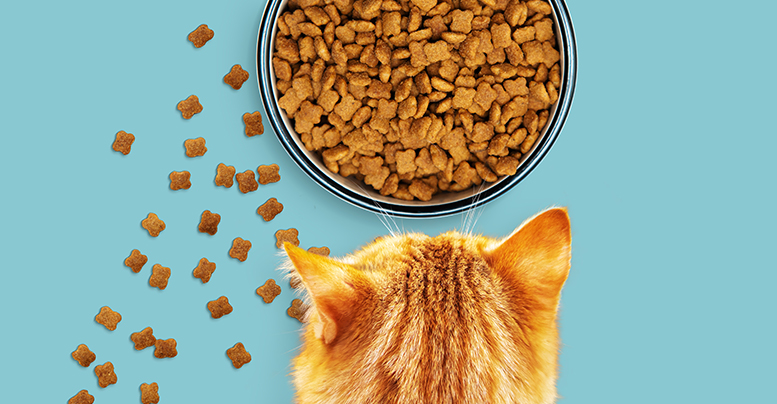 Сухой корм PERFECT FIT™ для кошек с чувствительным пищеварением, с индейкой — купить онлайн
