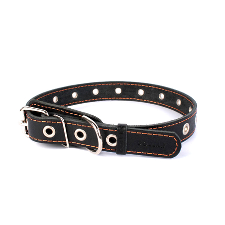 Collar Ошейник для собак безразмерный, ширина 2,5 см, длина 60 см, черный - фото 1