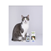 АВЗ Барс спрей инсектоакарицидный для кошек, 100 мл – интернет-магазин Ле’Муррр