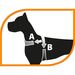 FERPLAST DAYTONA [P] XL Шлейка для собак – интернет-магазин Ле’Муррр