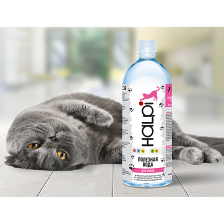 Halpi Минеральная вода для кошек – интернет-магазин Ле’Муррр