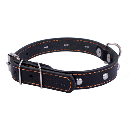 Collar Ошейник для собак одинарный, с украшением, ширина 2 см, длина 32-40 см, черный – интернет-магазин Ле’Муррр