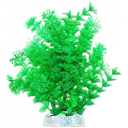 УЮТ Растение аквариумное Амбулия зеленые кружевные листья, 20 см - фото 1