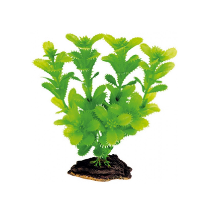 Dezzie Искусственное растение, 16см,пластик,блистер