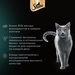 Влажный корм для кошек Sheba® Ломтики в соусе с говядиной и кроликом – интернет-магазин Ле’Муррр