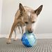 Kong Rewards Игрушка для собак, мяч для лакомств, размер L, резина – интернет-магазин Ле’Муррр