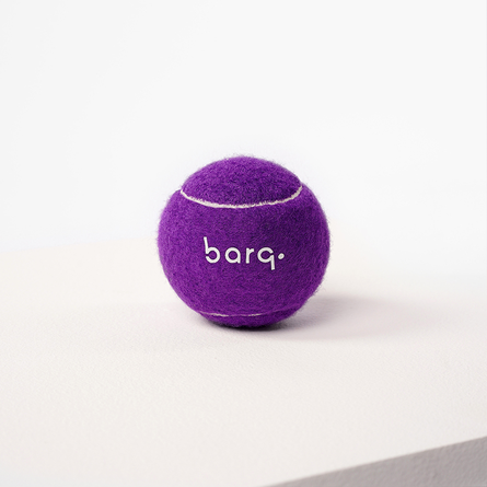 Barq - Runner Ball Мячик для собак, Фиолетовый - фото 1