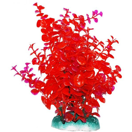 УЮТ Растение аквариумное Бакопа красная, 20 см - фото 1