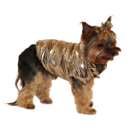 YORIKI Куртка для собак Бронза унисекс размер S – интернет-магазин Ле’Муррр