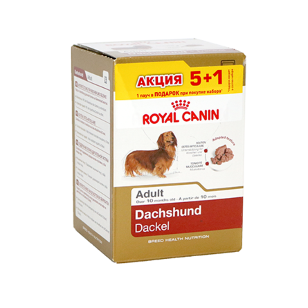 Набор Royal Canin Dachshund Паштет для взрослых такс 5+1 – интернет-магазин Ле’Муррр