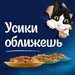 Влажный корм Felix Sensations для взрослых кошек, с лососем в желе с добавлением трески – интернет-магазин Ле’Муррр