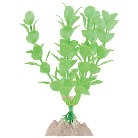 GloFish Растение флуоресцирующее зеленое – интернет-магазин Ле’Муррр