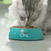 Сухой корм Purina ONE® для взрослых кошек с чувствительным пищеварением и разборчивым вкусом в еде, с высоким содержанием индейки и рисом, Пакет – интернет-магазин Ле’Муррр