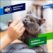 Дронтал®, Таблетки от гельминтов для кошек – 2 таблетки – интернет-магазин Ле’Муррр