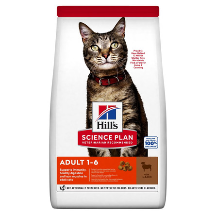 Hill's Science Plan Optimal Care Сухой корм для взрослых кошек (с ягнёнком), 300 гр - фото 1