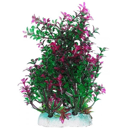УЮТ Растение аквариумное Гамфрена зелено-фиолетовая, 20 см