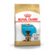 Royal Canin German Shepherd Junior Сухой корм для щенков породы Немецкая овчарка – интернет-магазин Ле’Муррр